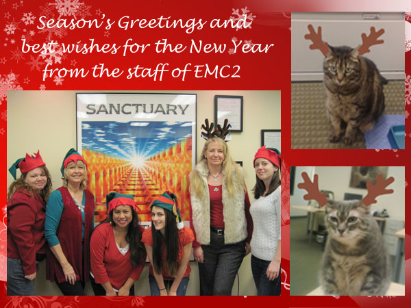 Season's Greetings and Happy New Year from EMC2